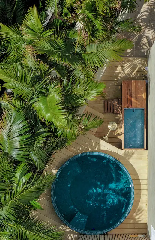 Plunge Spa and Ice Bath