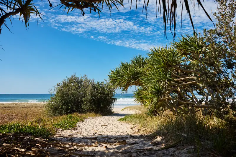 A day in the life video