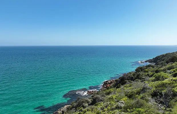 A day in the life video