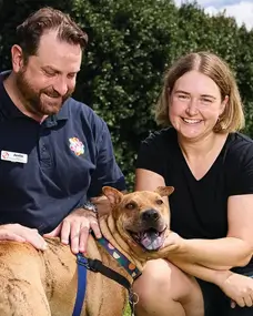 Happy Paws, Happy Hearts